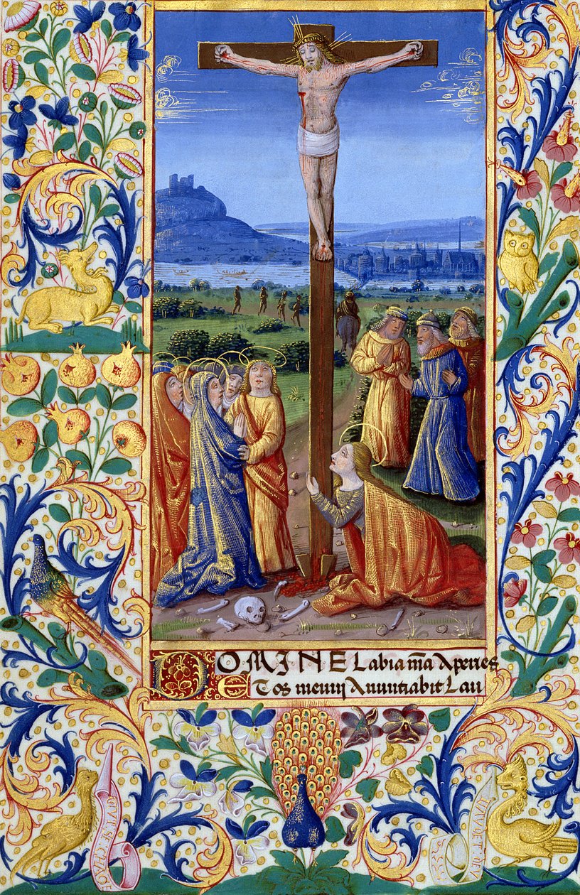 Ms Lat. Q.v.I.126 f.84v La Crocifissione, dal 