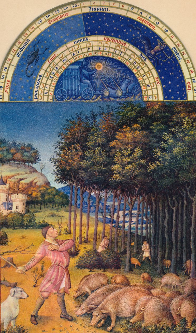 Novembre - nutrire i maiali con le ghiande, XV secolo, 1939 da Jean Colombe