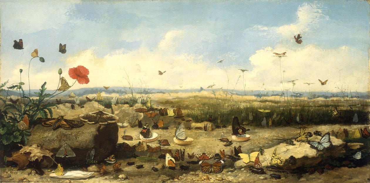 La corsa delle farfalle, 1872 da Jean Eugene Doneaud