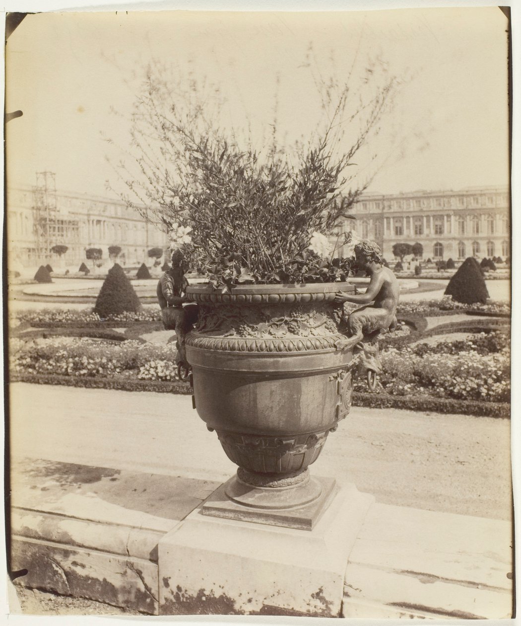 Versailles, vaso di Ballin da Jean Eugène Auguste Atget