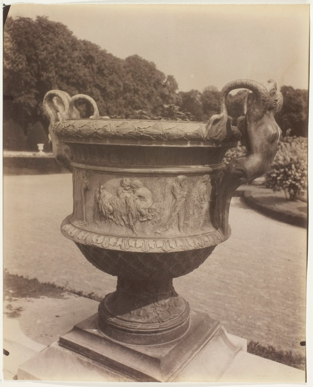 Versailles, vaso di Ballin da Jean Eugène Auguste Atget