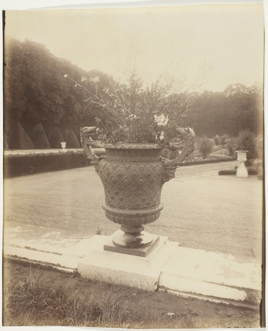 Versailles, vaso di Ballin da Jean Eugène Auguste Atget