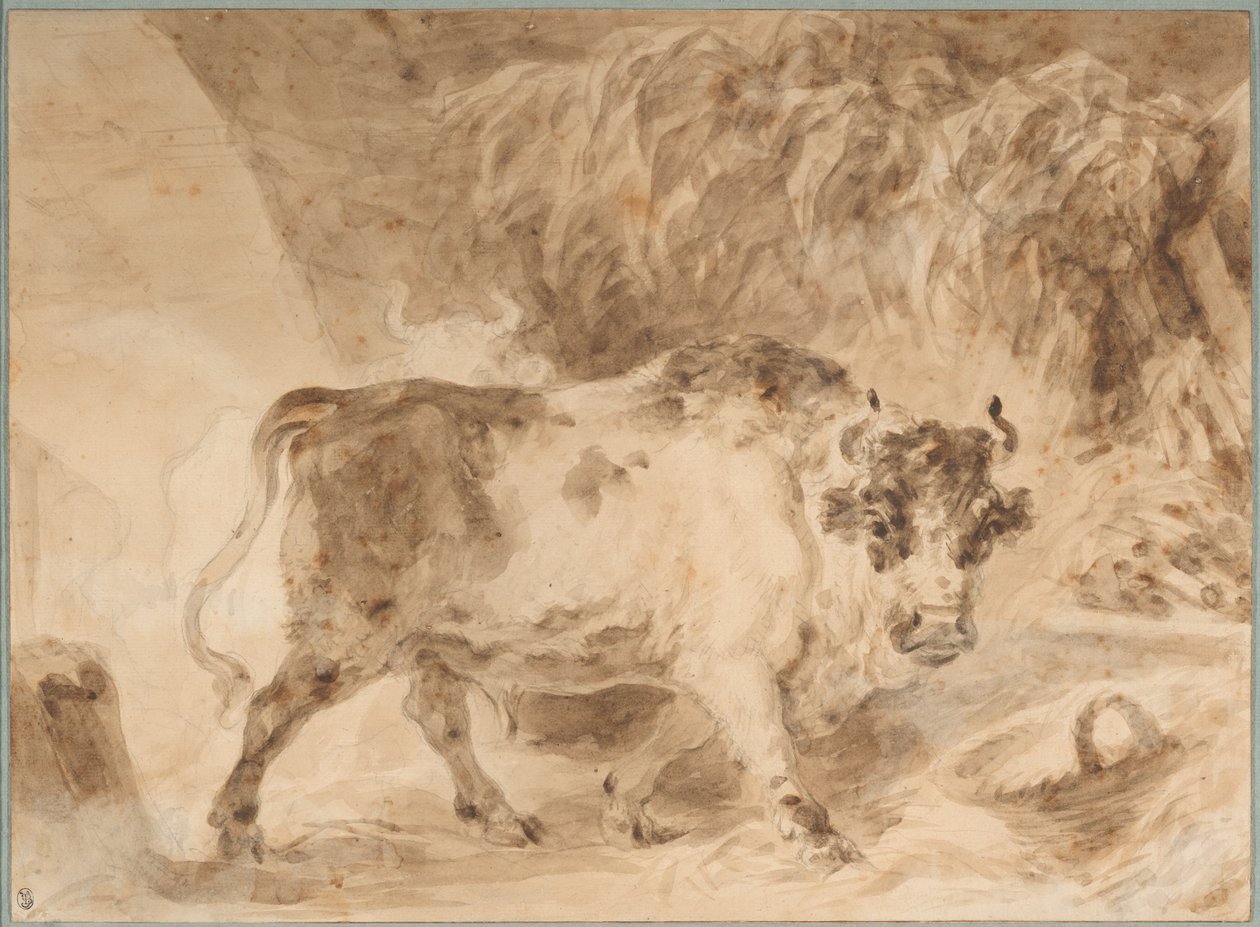 Toro della Campagna romana da Jean Honore Fragonard
