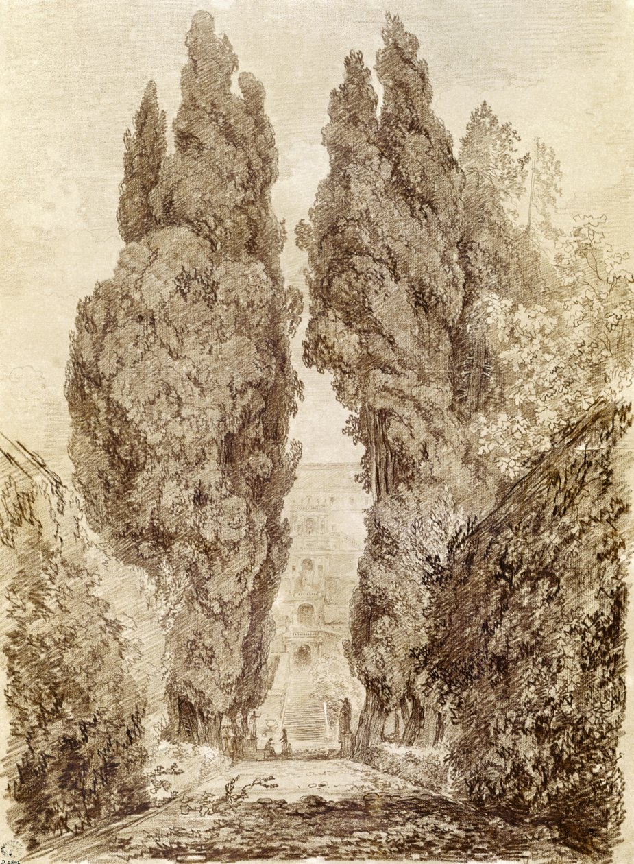 Grandi cipressi alla Villa d