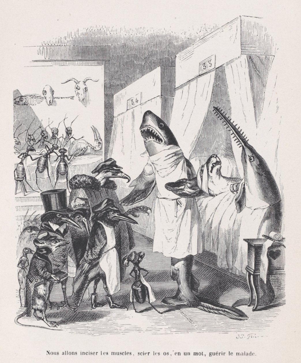 Incideremo i muscoli, segheremo le ossa, in una parola, cureremo i malati da Sc..., ca. 1837-47 da Jean Ignace Isidore Gérard