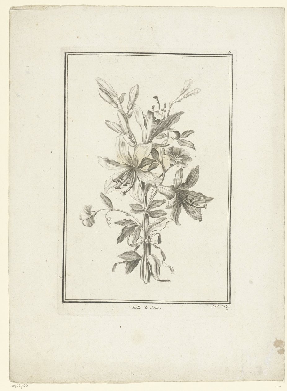 Bouquet con giglio da Jean Jacques Avril (I)