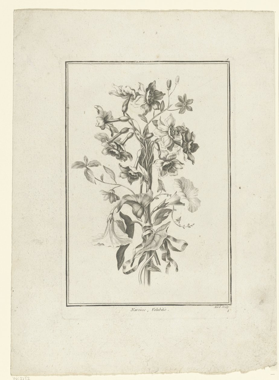 Bouquet di narcisi e convolvoli da Jean Jacques Avril (I)