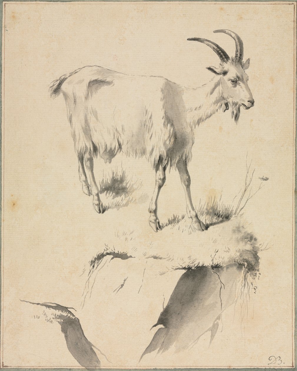 Studio di una capra, 1700s da Jean Jacques de Boissieu