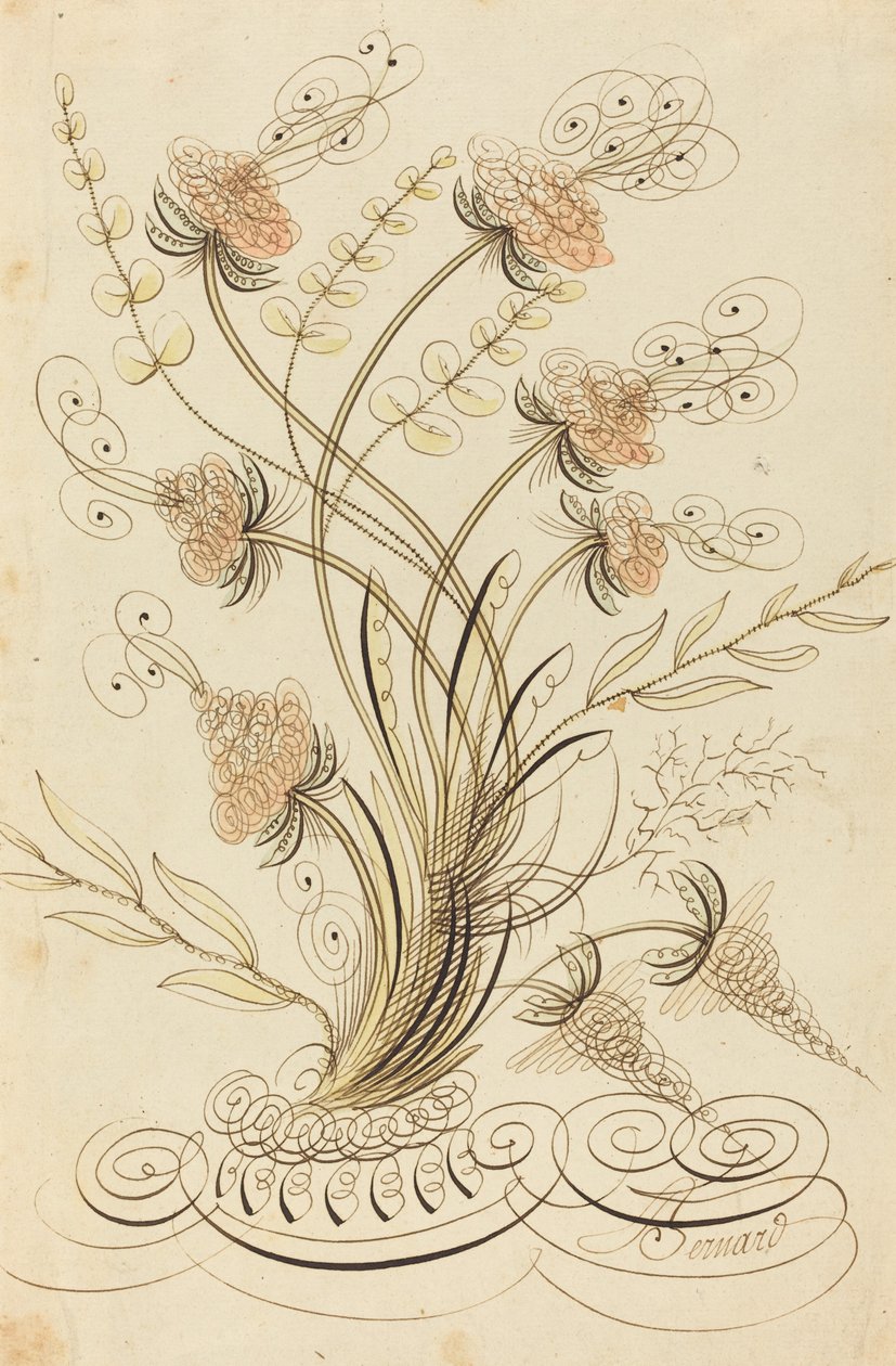 Fiori calligrafici da Jean Joseph Bernard called Bernard de Paris