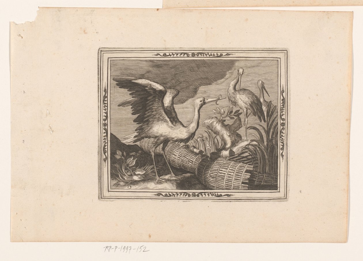 Cicogne (Rappresentazioni di animali) da Jean Leclerc