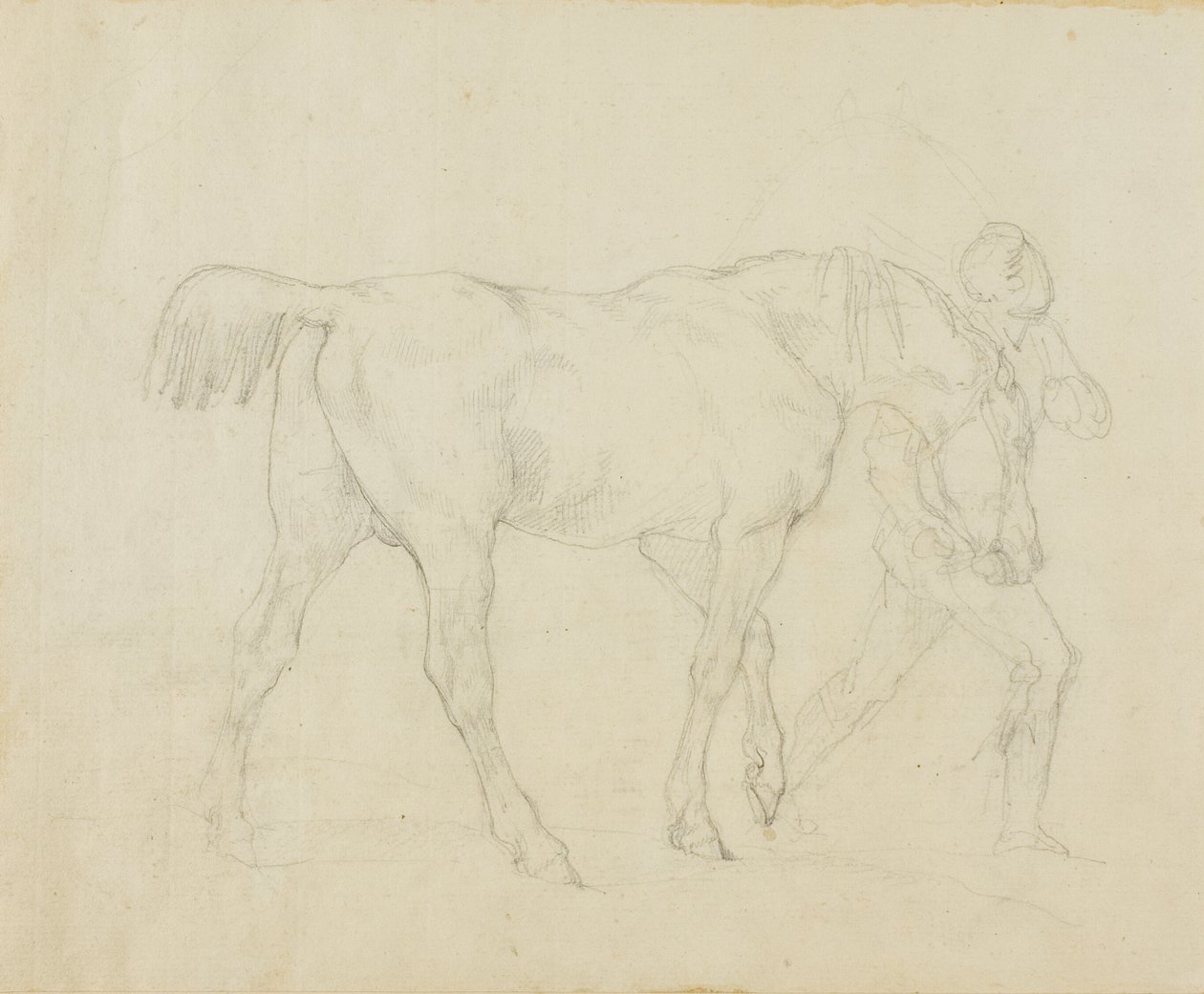 Stalliere che conduce un cavallo da Jean Louis André Théodore Géricault