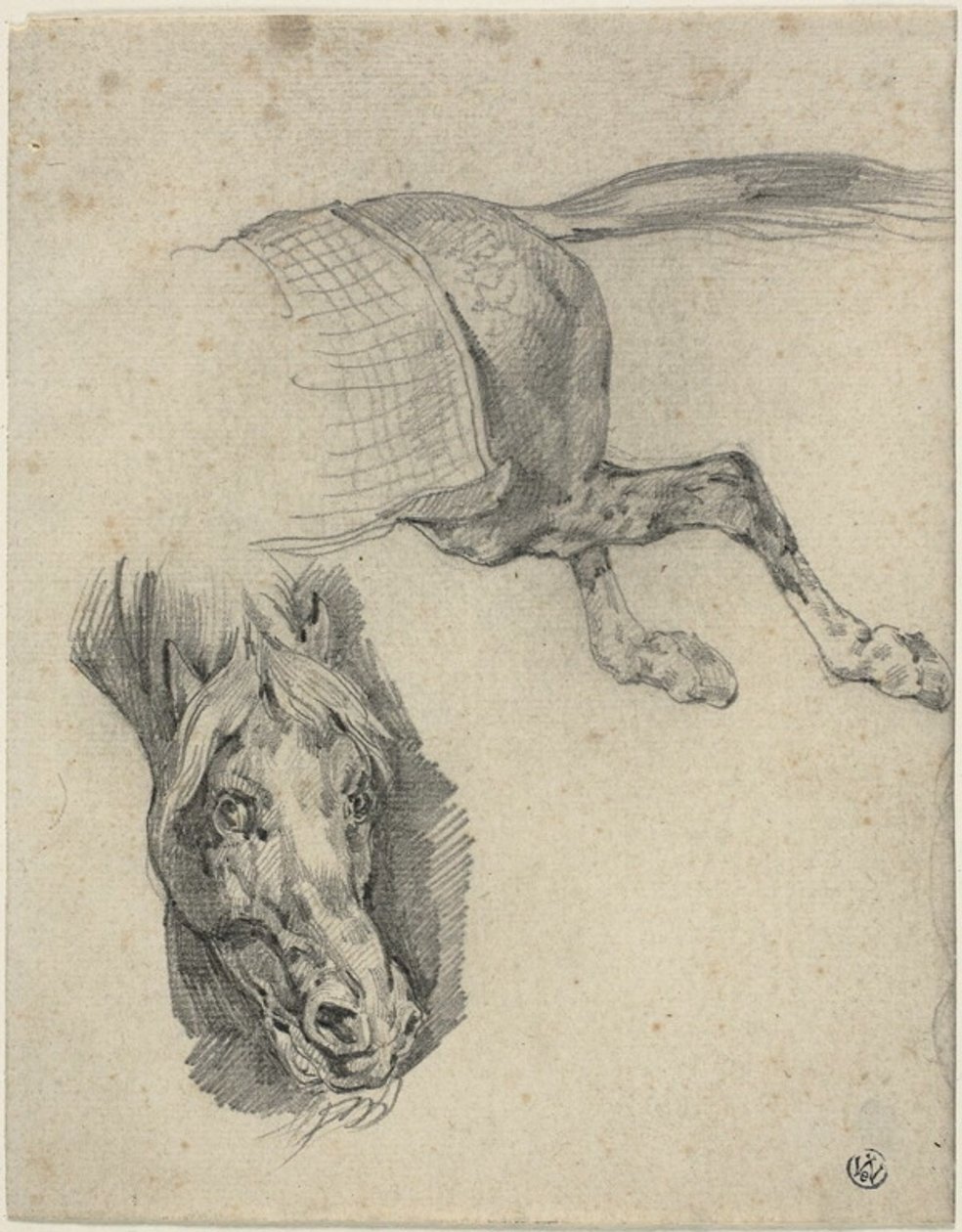 Testa e quarti posteriori di un cavallo da corsa da Jean Louis André Théodore Géricault