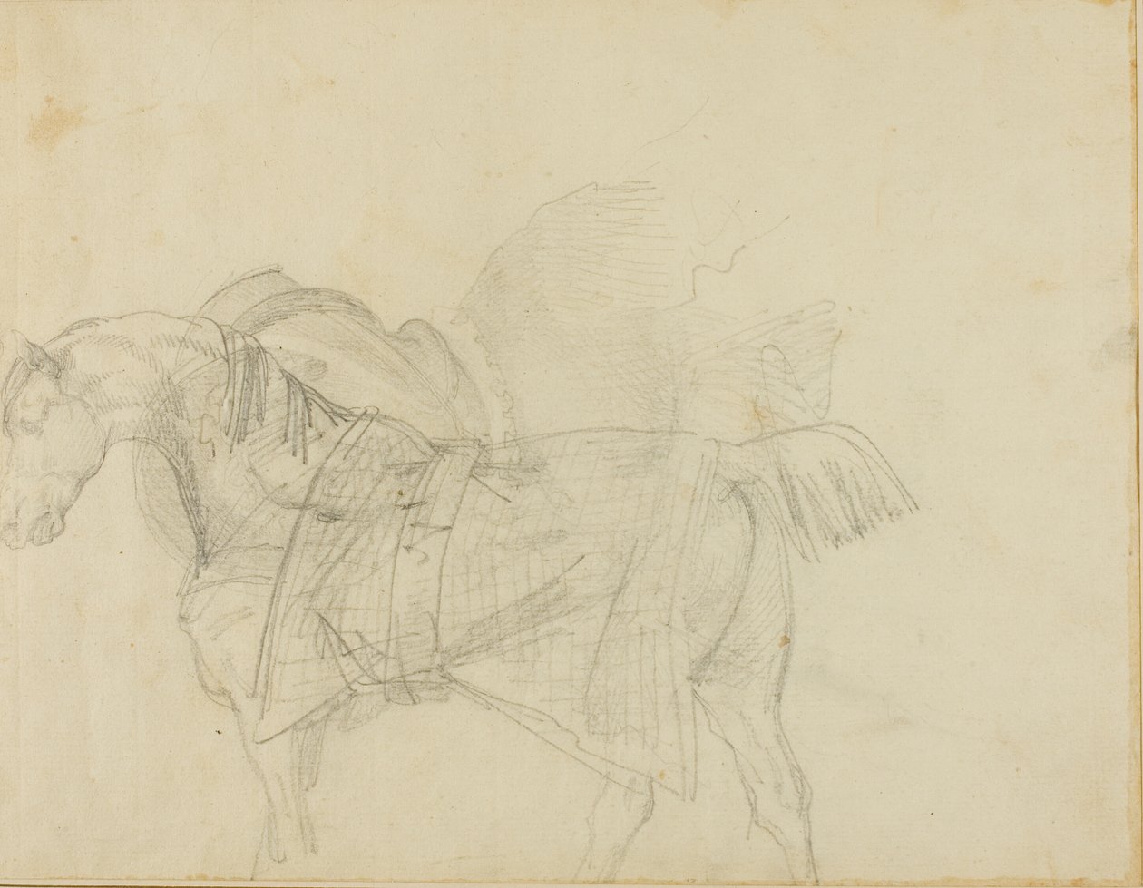 Cavallo che indossa una coperta da Jean Louis André Théodore Géricault