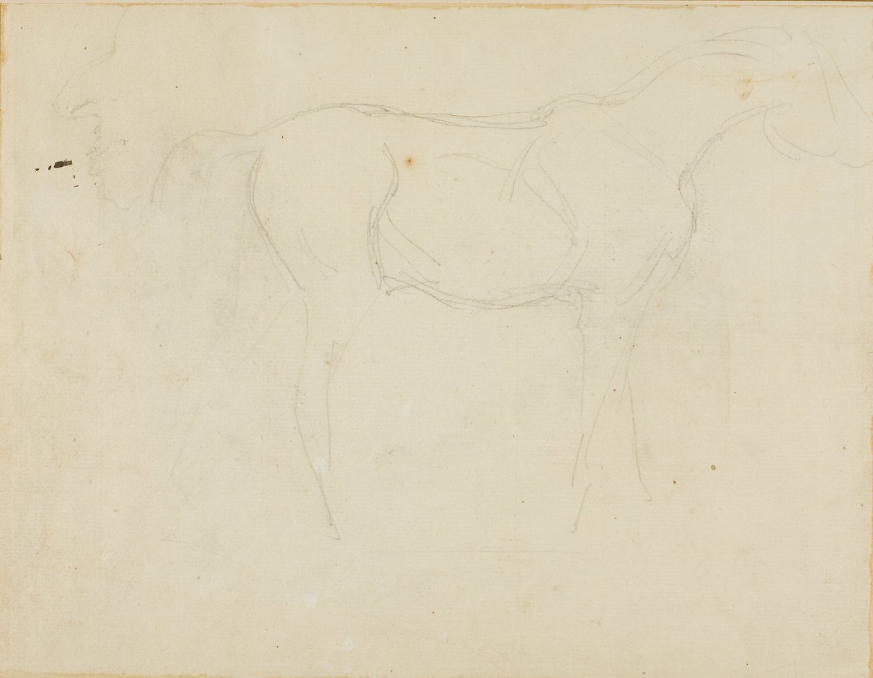 Schizzo di un cavallo rivolto a destra e caricatura di profilo da Jean Louis André Théodore Géricault