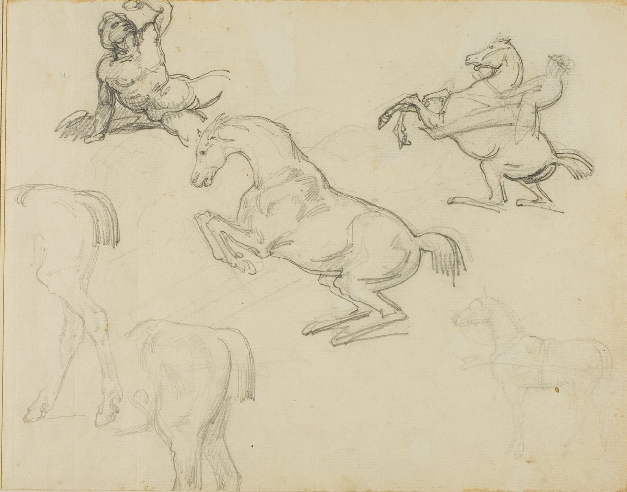Schizzi: Nudo sdraiato, cavaliere e vari cavalli da Jean Louis André Théodore Géricault