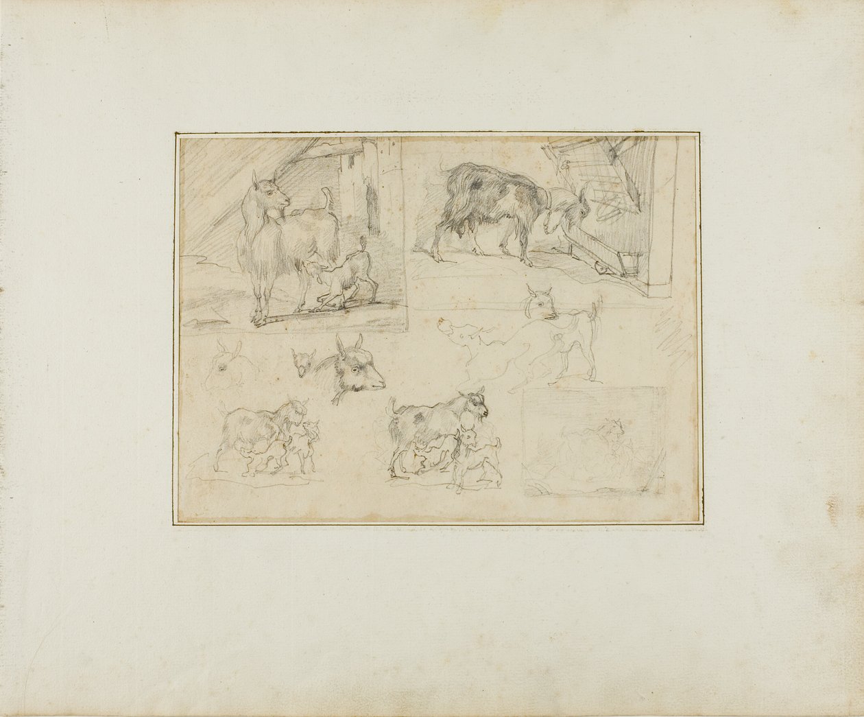 Schizzi di capre da Jean Louis André Théodore Géricault