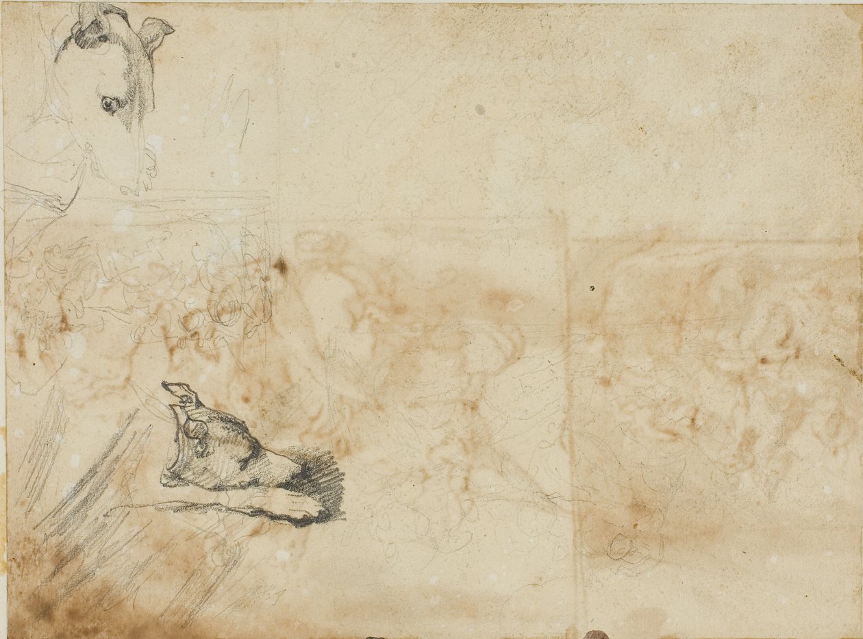 Schizzi di una battaglia equestre e la testa di un levriero da Jean Louis André Théodore Géricault