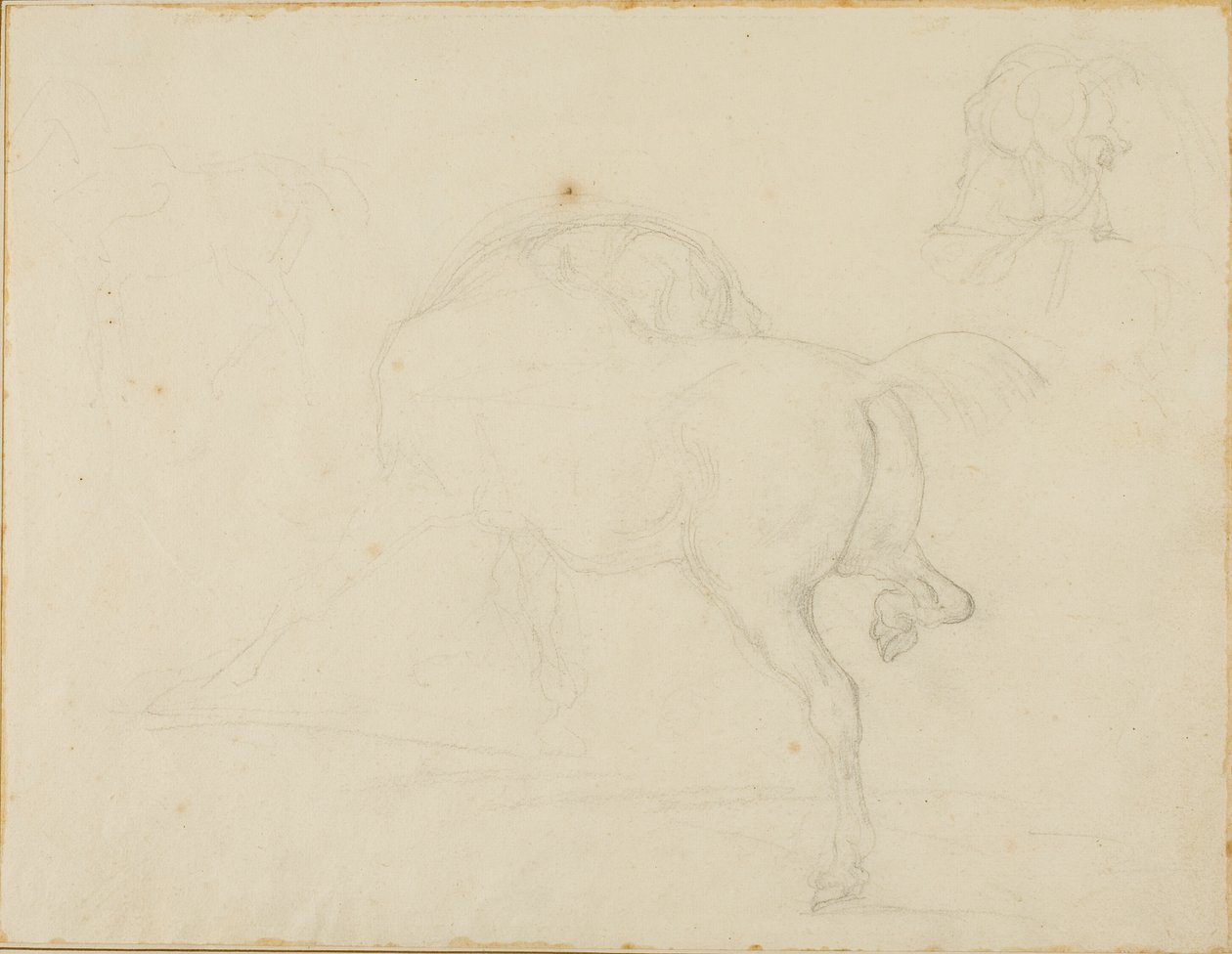 Studio di un cavallo che gira la testa e alza la zampa posteriore da Jean Louis André Théodore Géricault