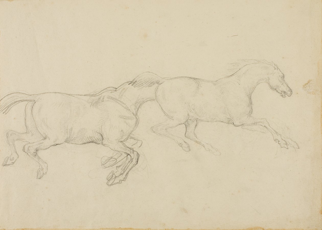 Due cavalli al galoppo verso destra da Jean Louis André Théodore Géricault