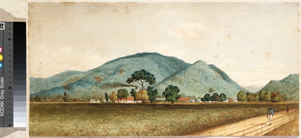La fabbrica di zucchero di St. Clare, Port of Spain, Trinidad da Jean Michel Cazabon