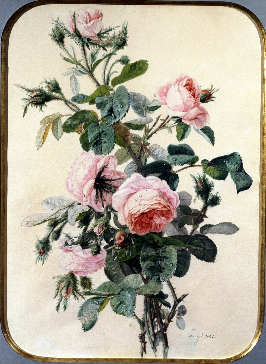 Le rose. Dipinto di Jean Pierre Lays (1825-1887) Collezione privata. da Jean Pierre Lays