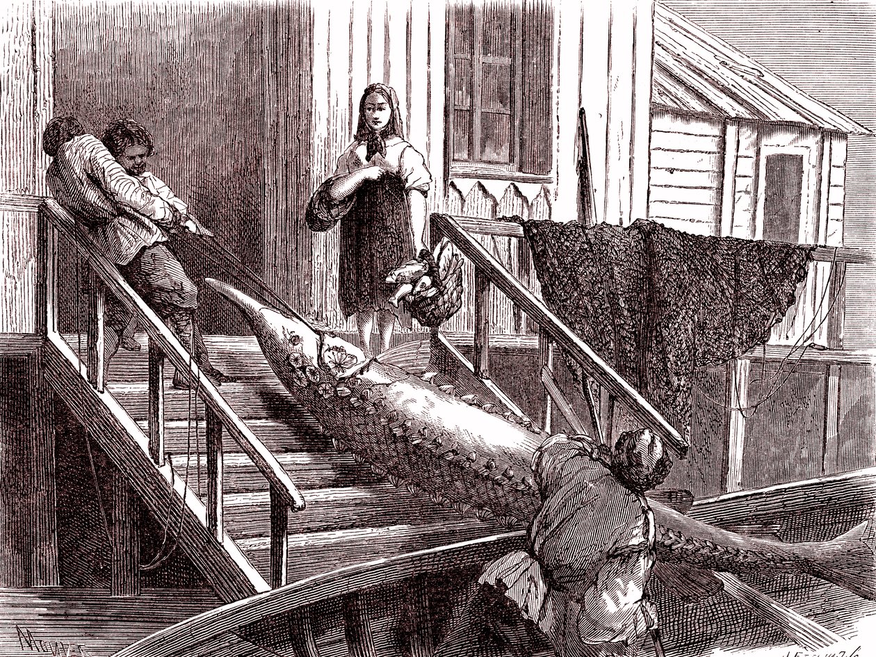 Pesca dello storione sul fiume Volga, Russia. 1867 (incisione) da Jean Pierre Moynet