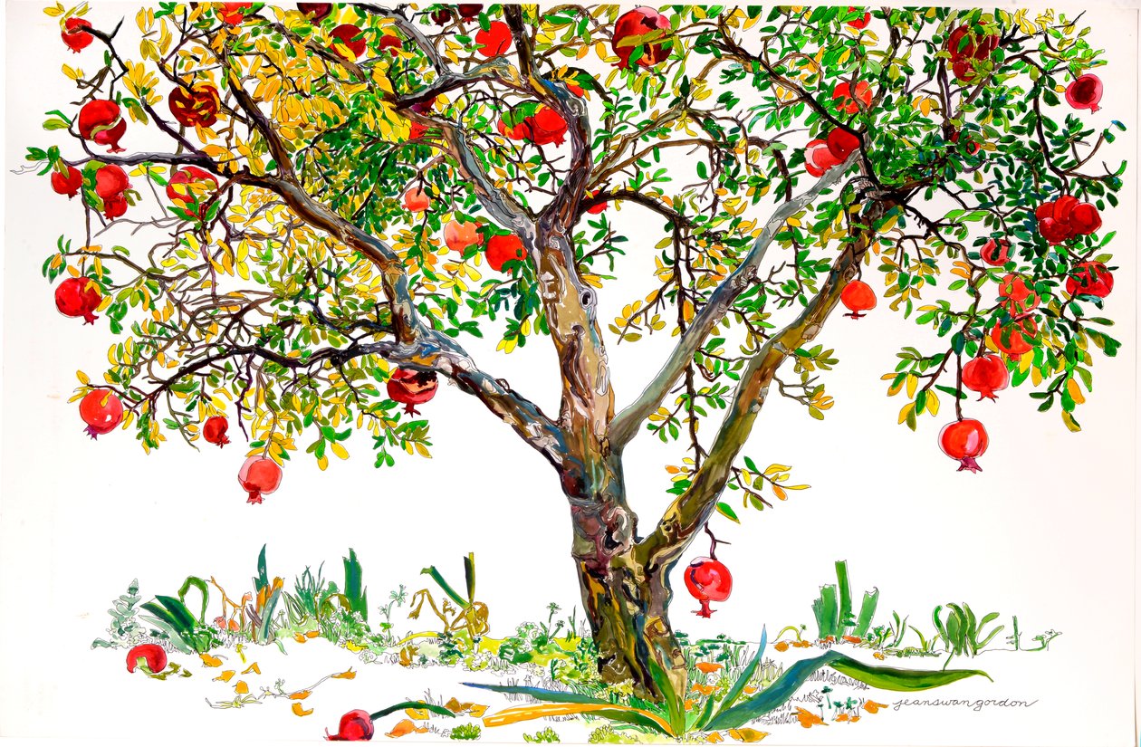 Albero di melograno, Monte Sereno (acquerello e inchiostro su carta) da Jean Swan Gordon