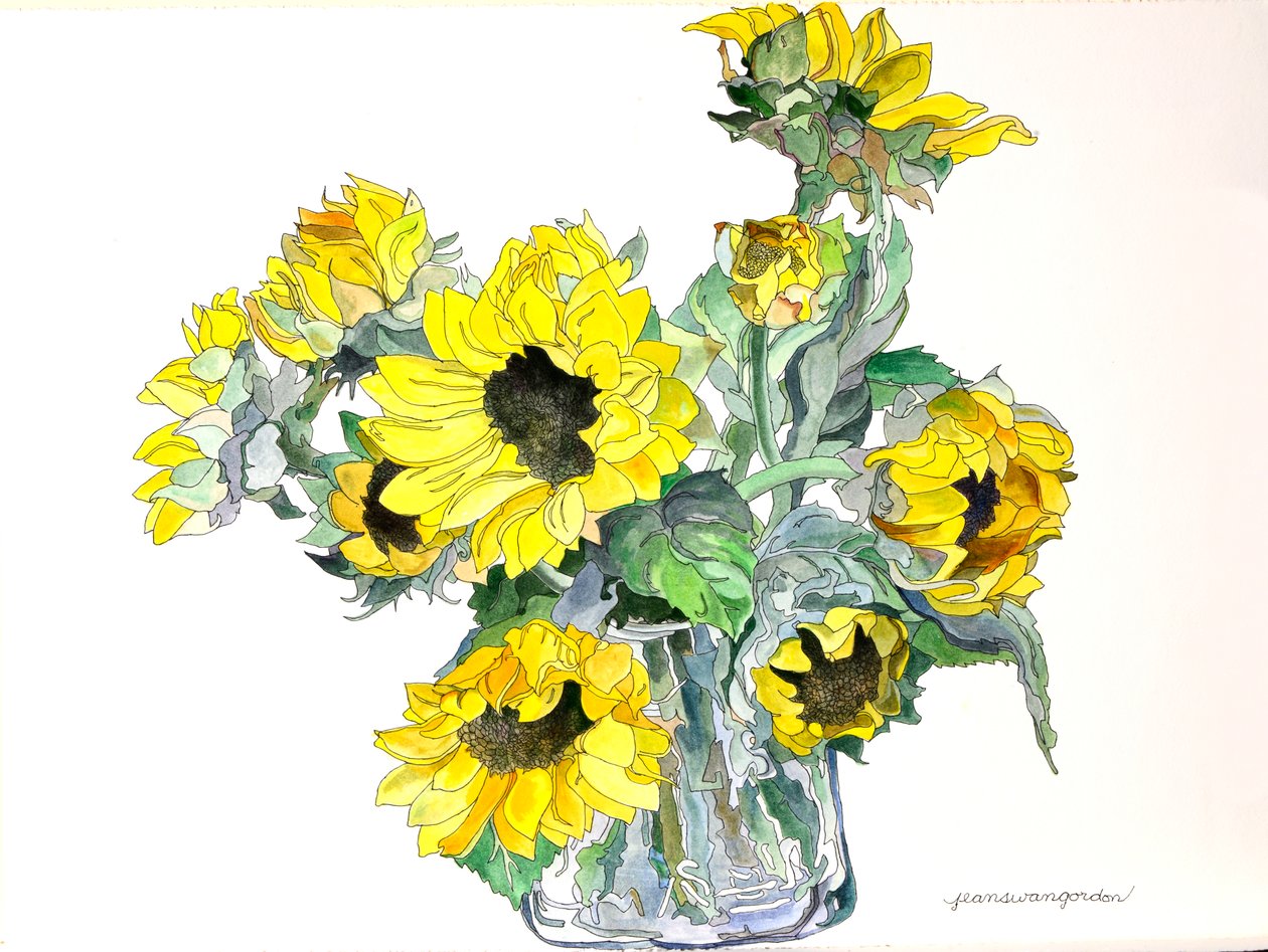 Girasoli, 2002 (acquerello e inchiostro su carta) da Jean Swan Gordon