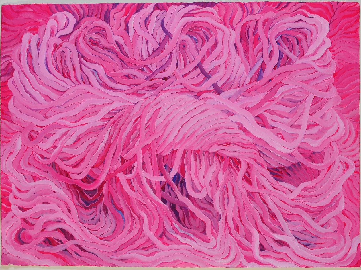 Rosa di lana, 2013 (gouache su carta) da Jeanne Maze