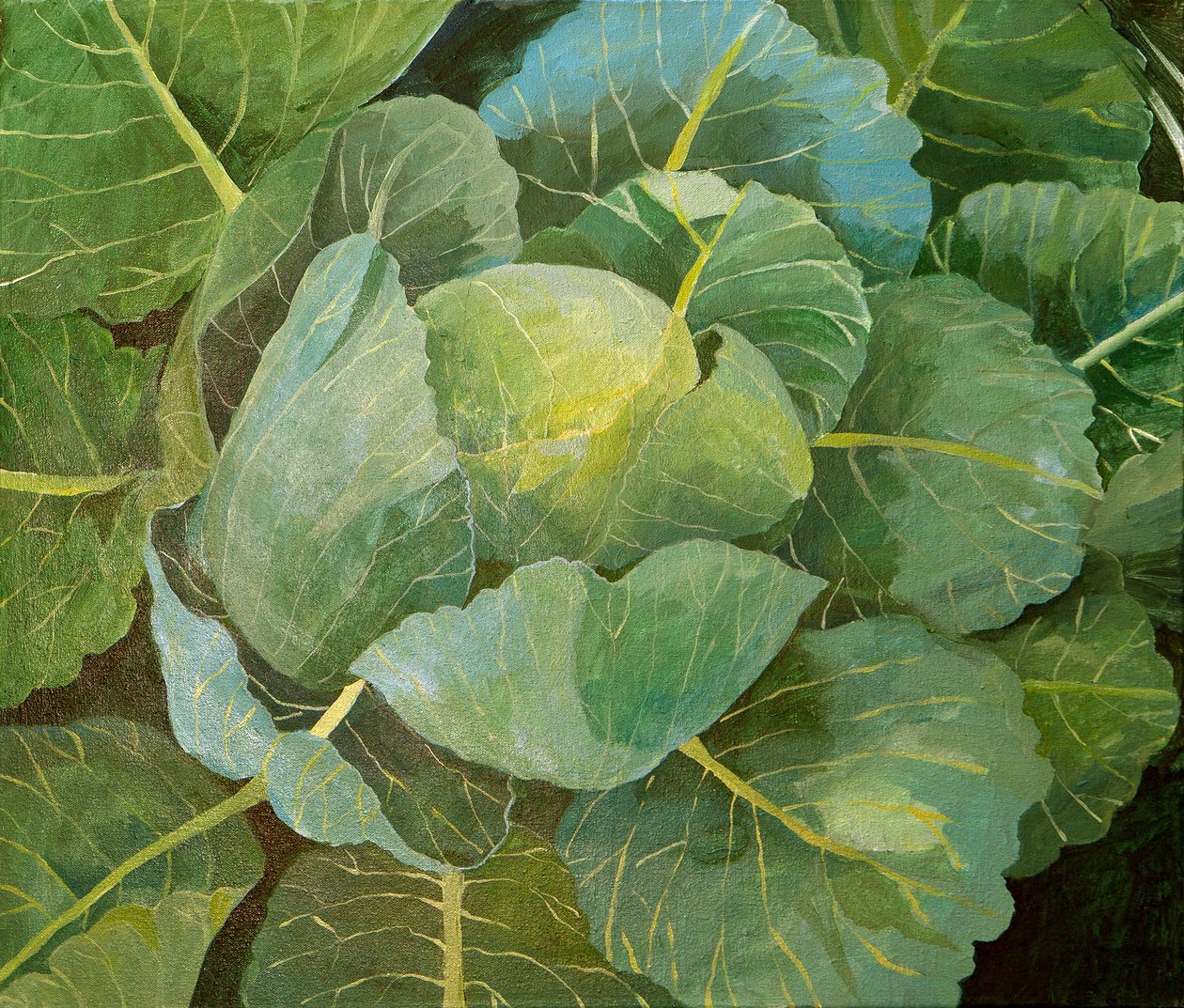 Cavolo (blu), 2014 (acrilico su tela) da Jennifer Abbott