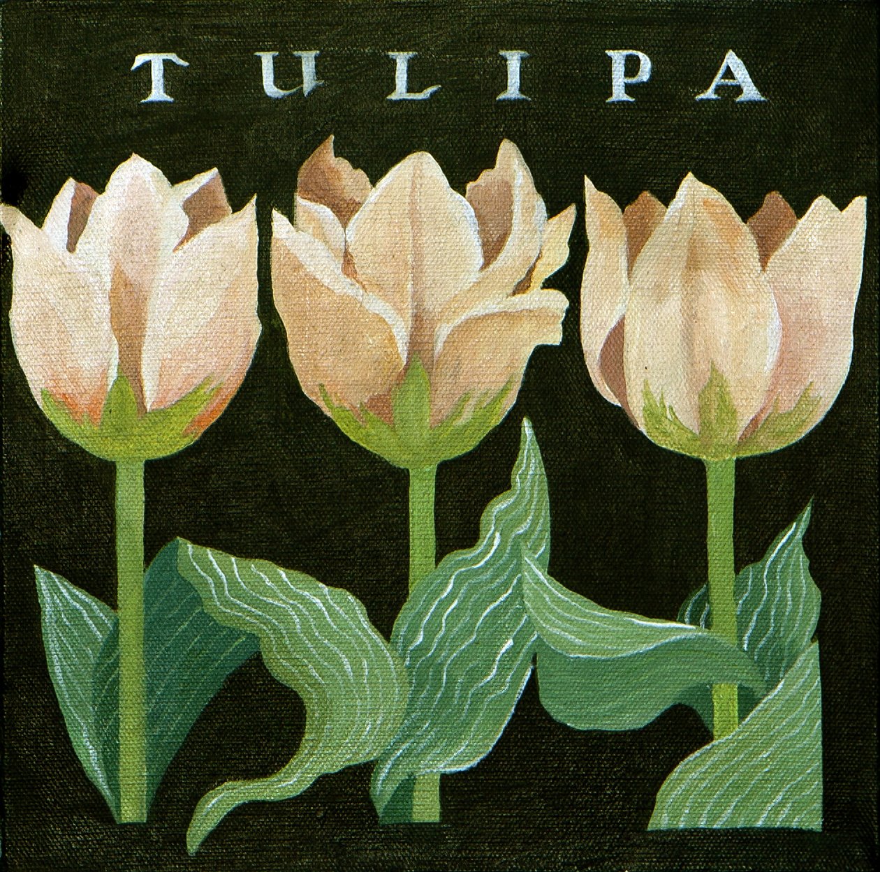 Tulipani, 2013 (acrilico su tela) da Jennifer Abbott