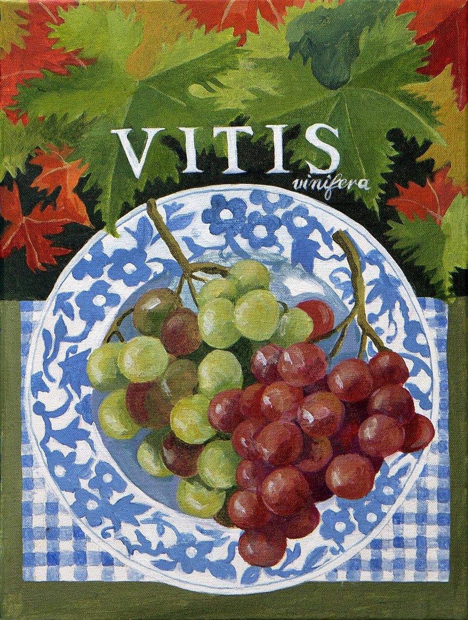 Vitus (uva), 2014 (acrilico su tela) da Jennifer Abbott