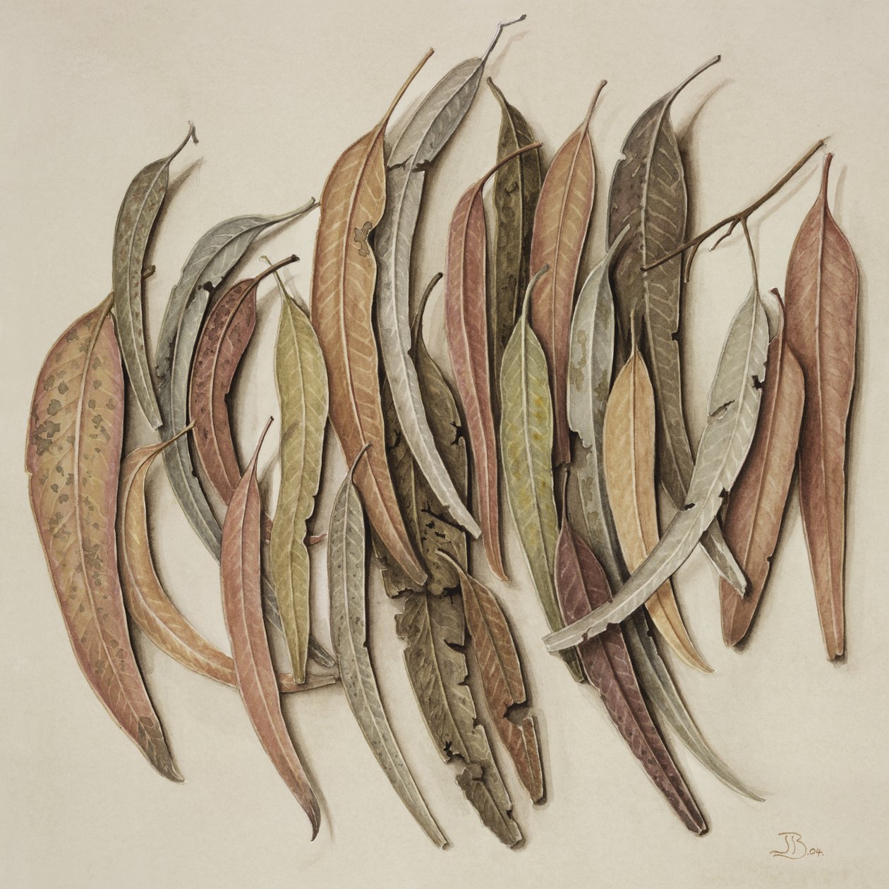 Foglie di eucalipto da Jenny Barron