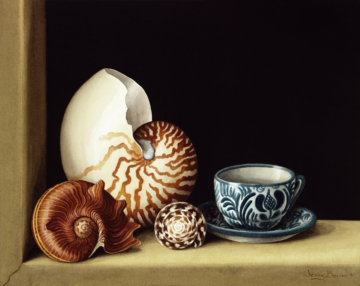 Natura morta con Nautilus da Jenny Barron