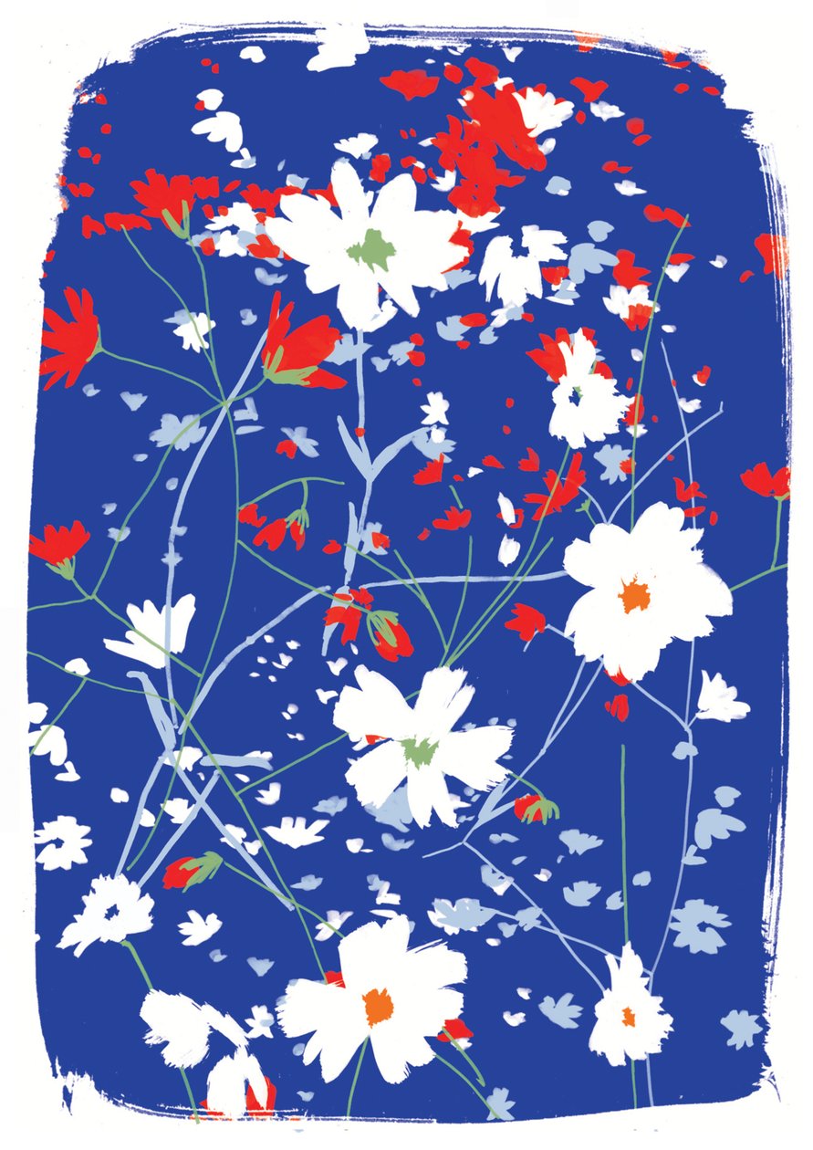Fiori del Bosco da Jenny Frean