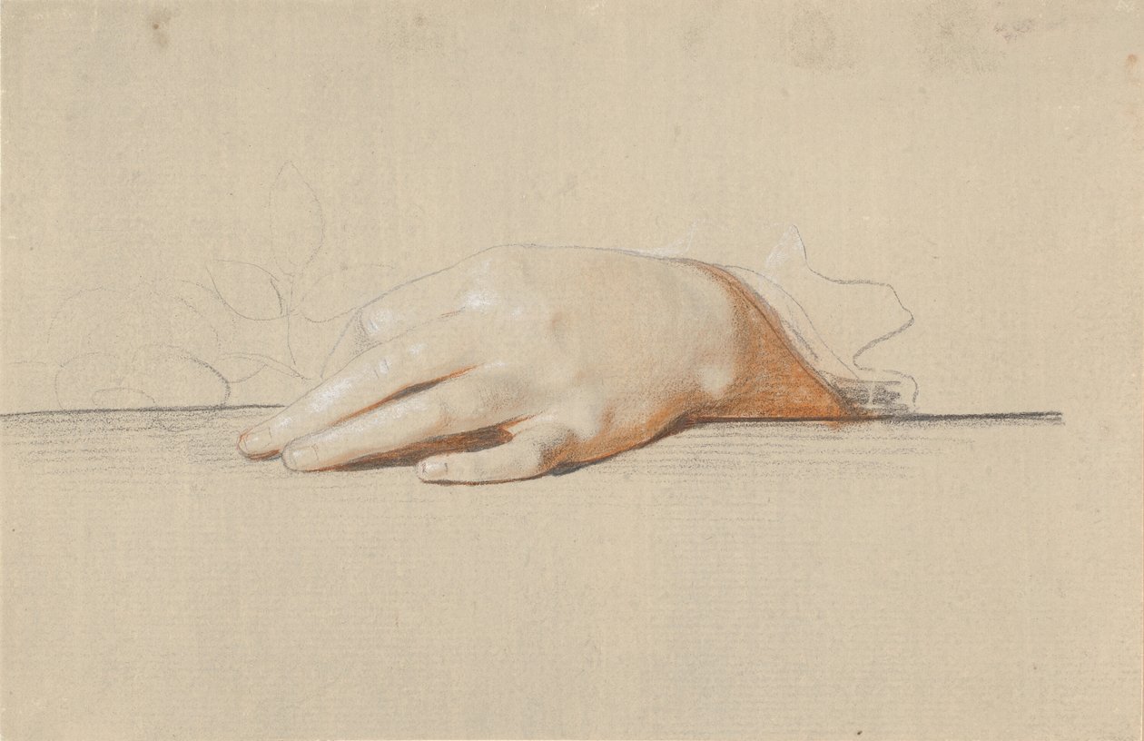 Una mano sinistra appoggiata su un tavolo, che tiene una rosa da Jens Juel