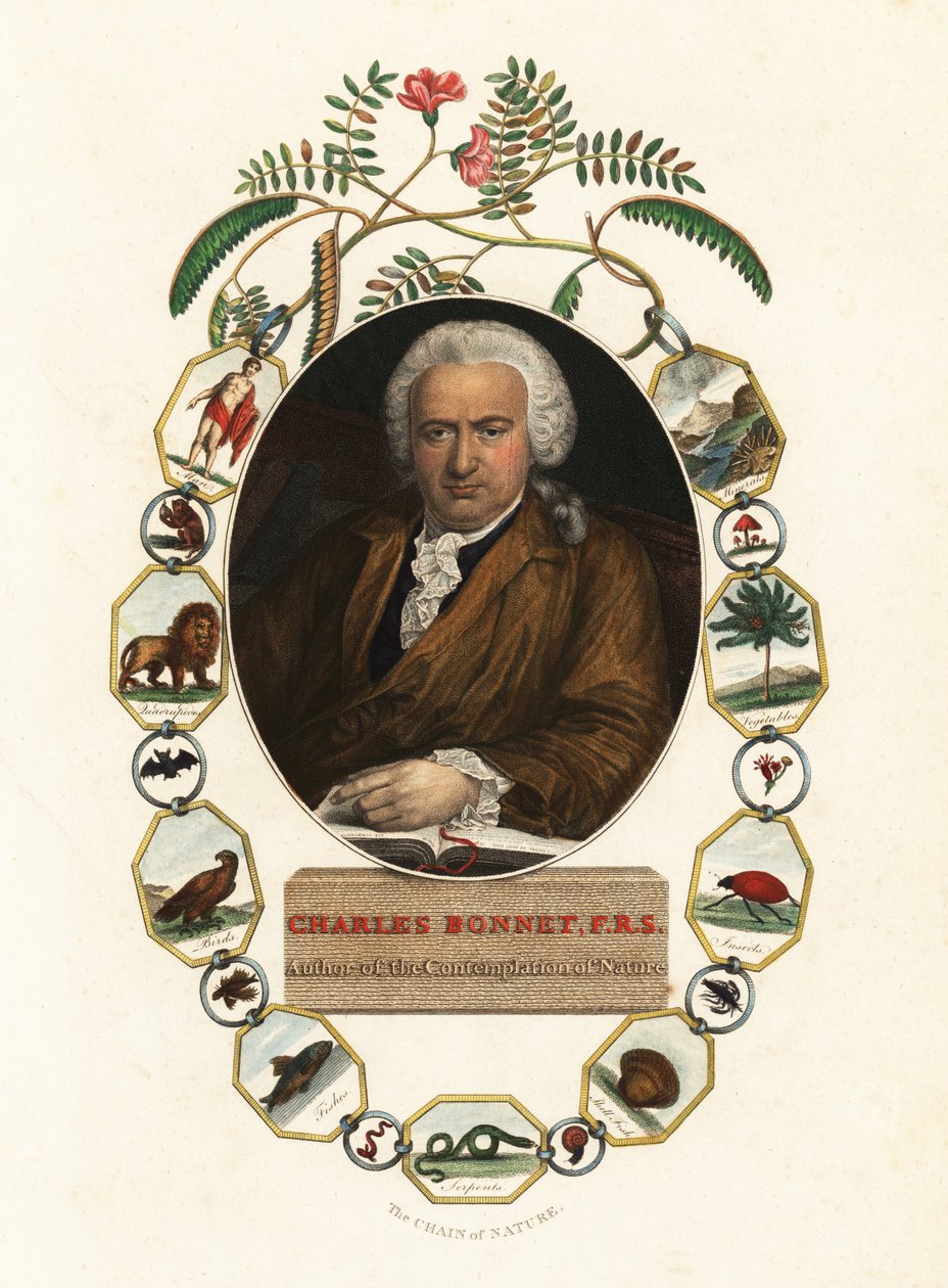 Ritratto di Charles Bonnet, naturalista ginevrino da Jens Juel