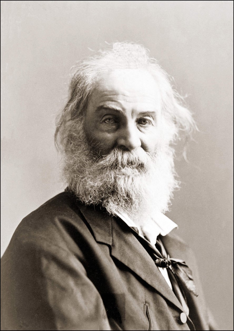 Ritratto di Walt Whitman di Gurney tra il 1880 e il 1890 da Jeremiah Gurney