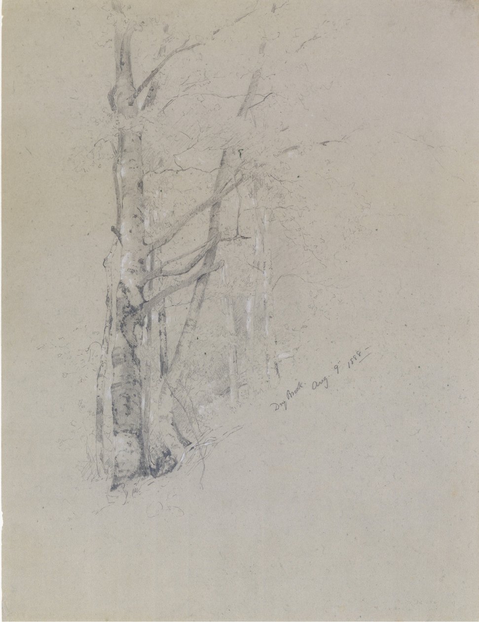 Ruscello secco da Jervis McEntee