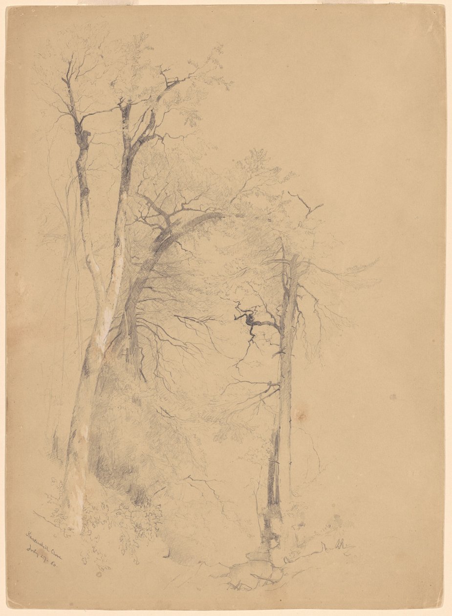 Kauterskill Clove da Jervis McEntee