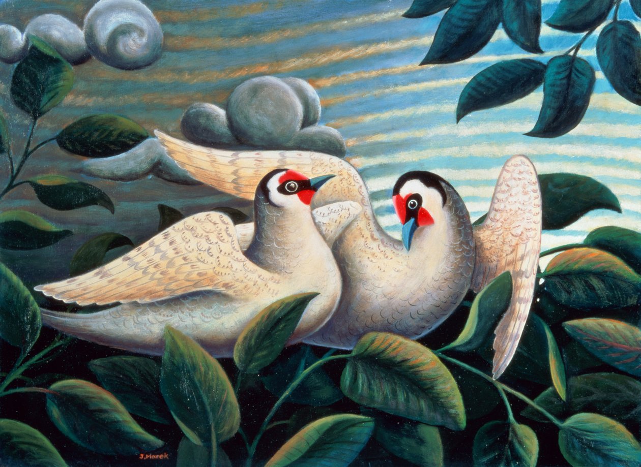 Gli inseparabili da Jerzy Marek