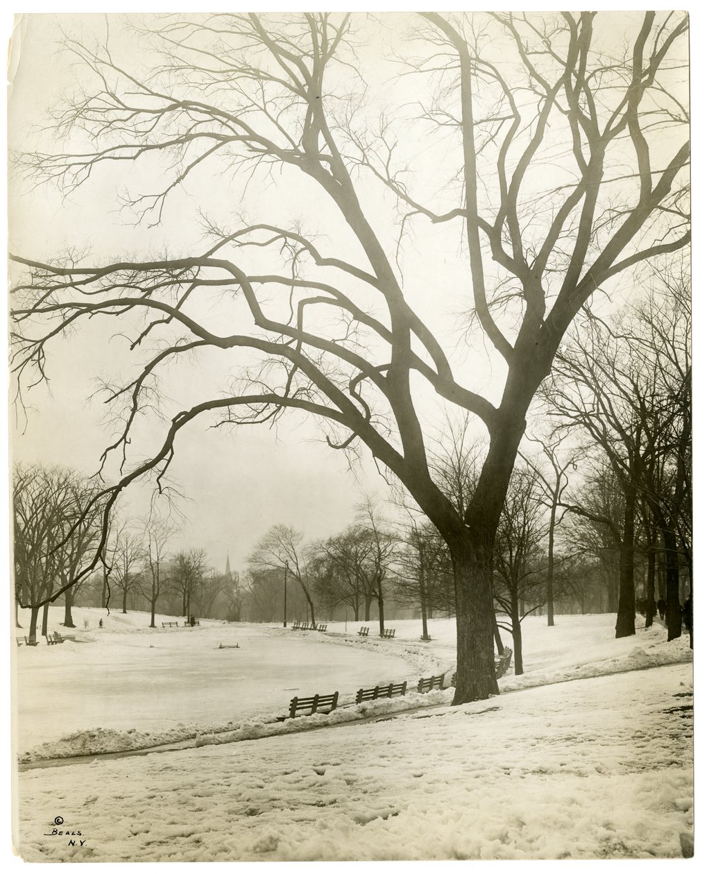Boston Common e stagno delle rane, vicino all