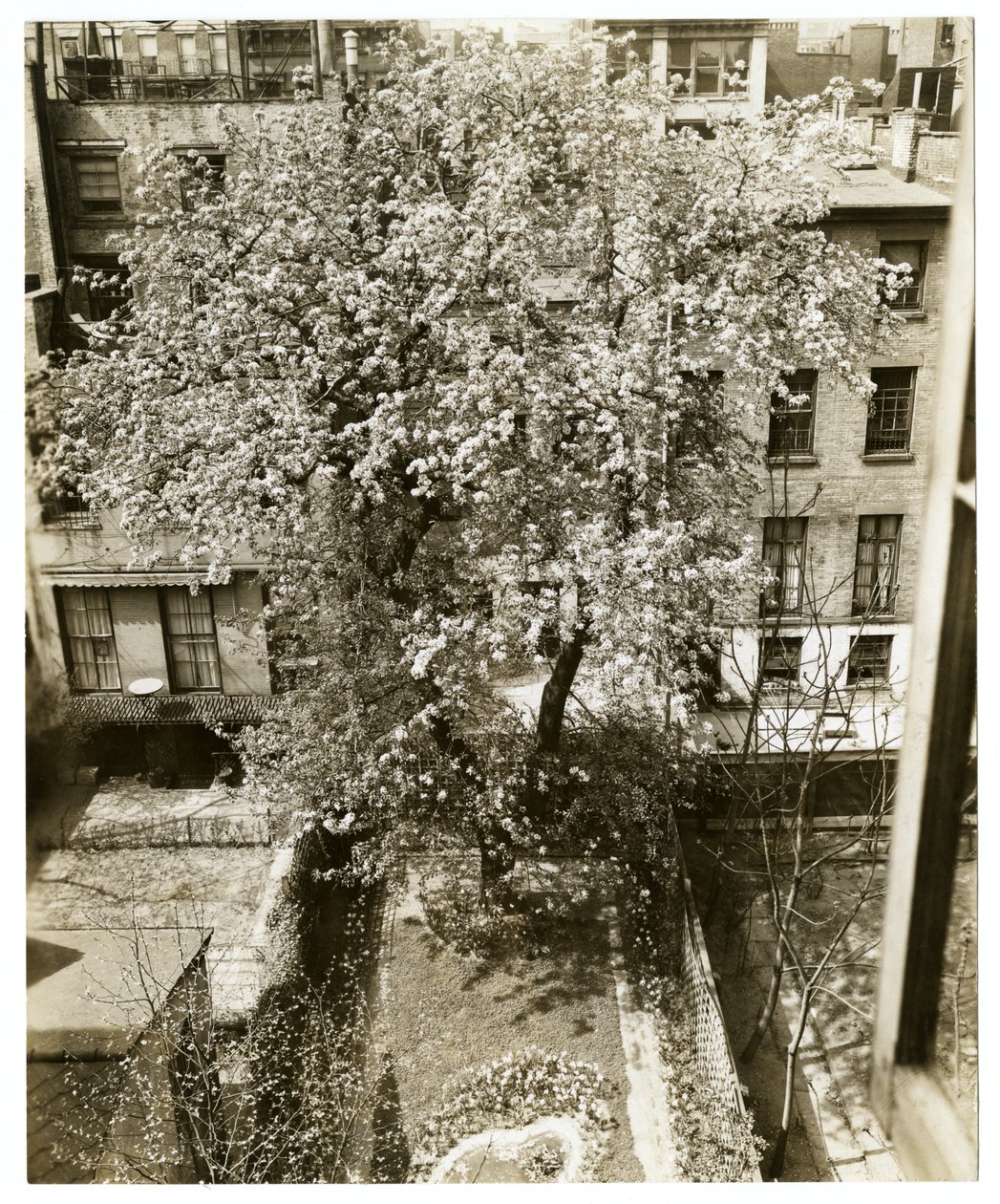 Signora W H Wells 265 W 11th da Jessie Tarbox Beals