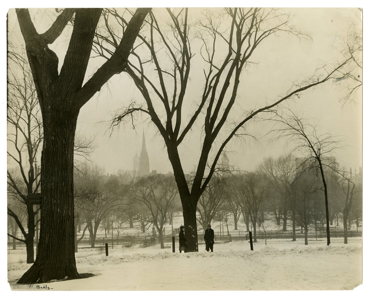 Il Comune, Boston, USA, c.1902-10 da Jessie Tarbox Beals