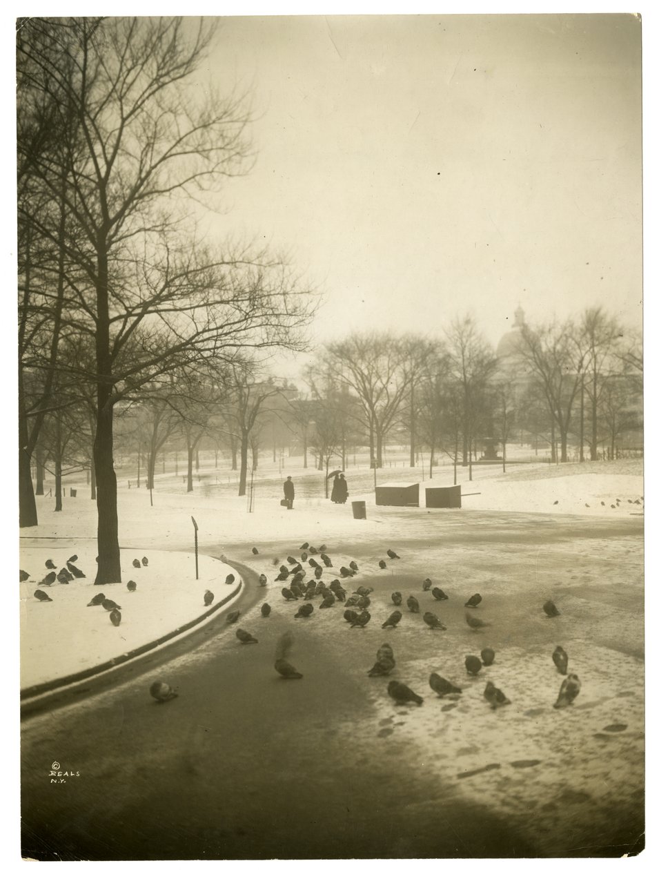 Freddo insolitamente rigido nel Common, Boston, USA, c.1902-10 da Jessie Tarbox Beals