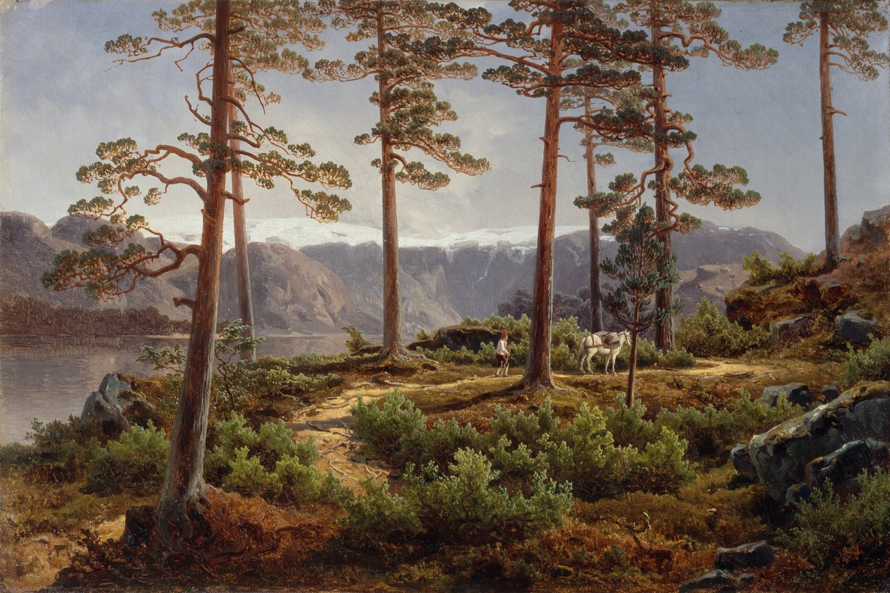 Hardanger da Joachim Frich