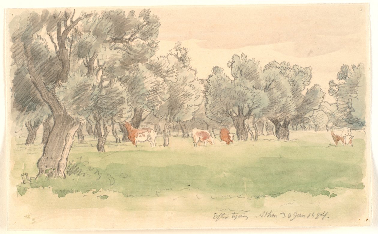 Paesaggio greco con ulivi e bestiame al pascolo da Joakim Frederik Skovgaard