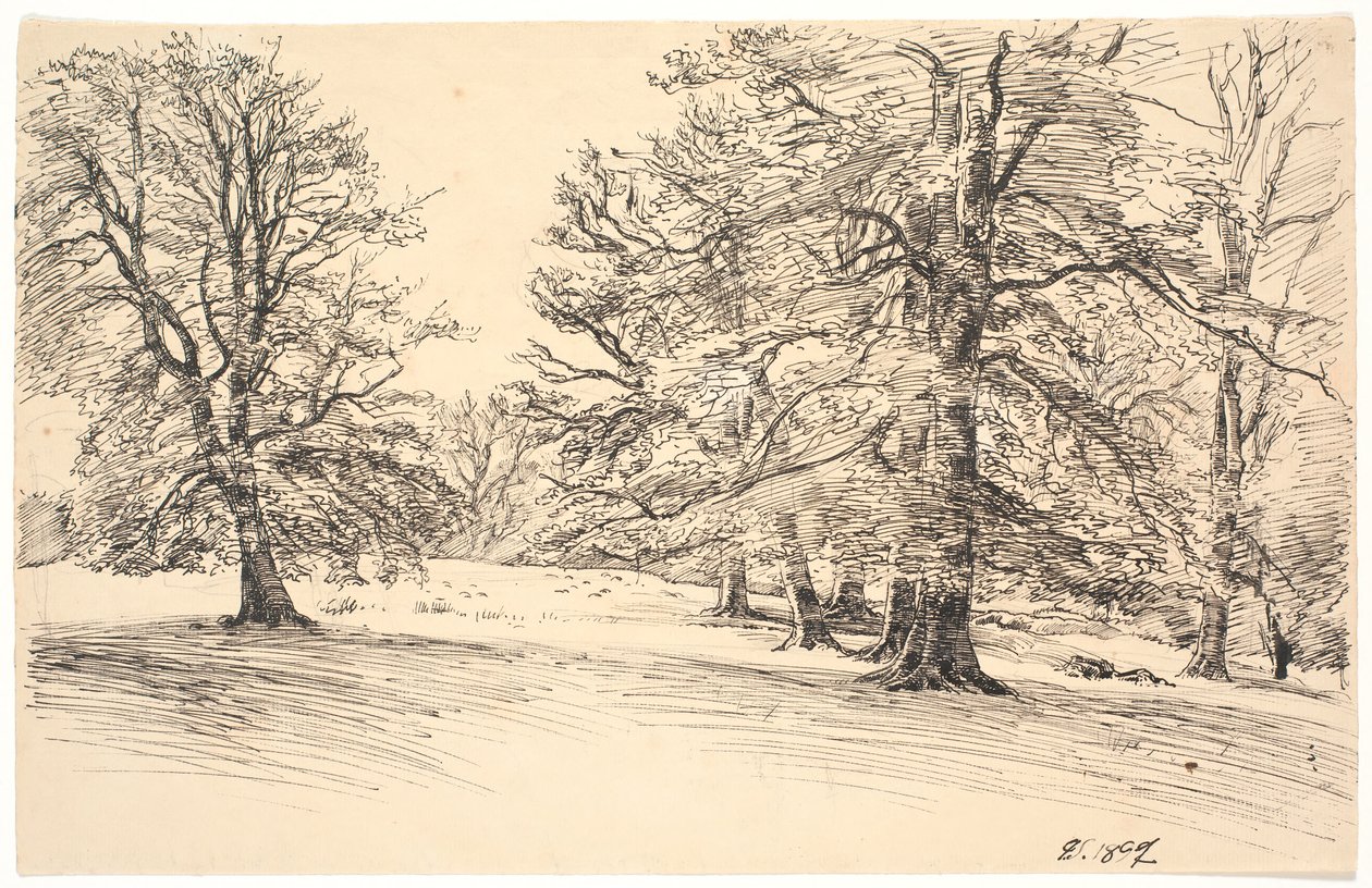 Terreno leggermente inclinato con grandi alberi sparsi da Joakim Frederik Skovgaard