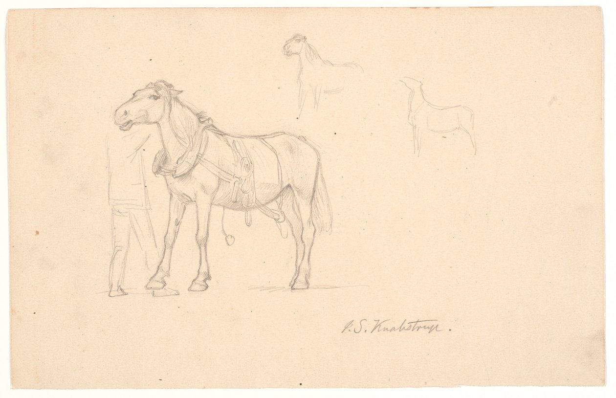 Tre studi di un cavallo da Joakim Frederik Skovgaard