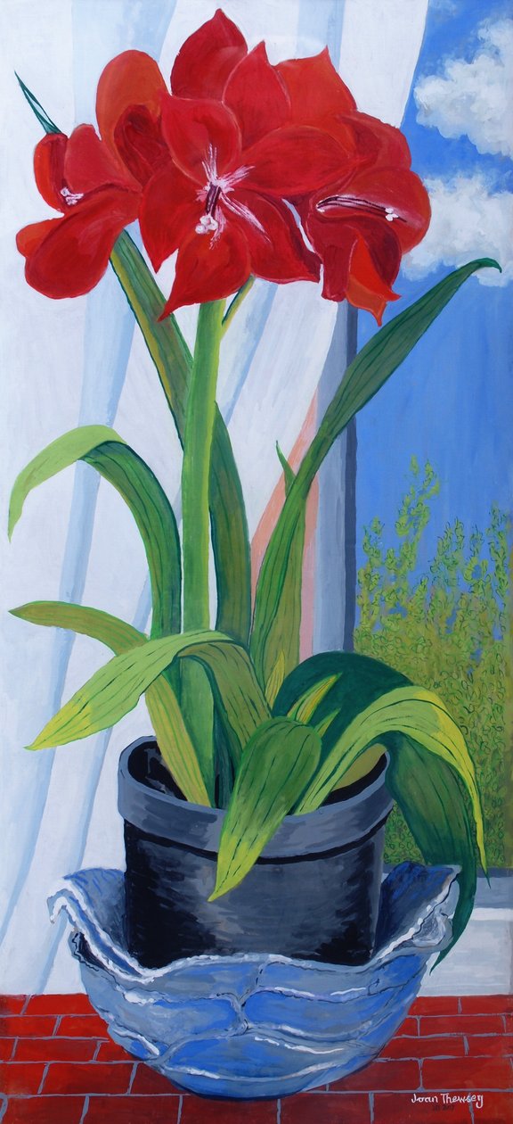 Amarilli in una ciotola blu, 2011 da Joan Thewsey